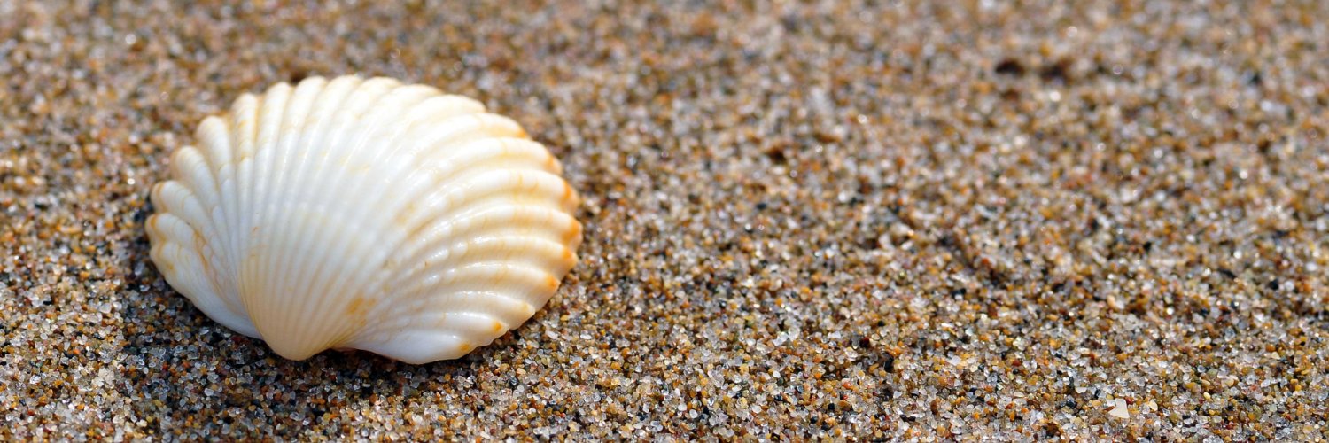 VlovesShells's profile banner image