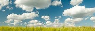 colasurdo's profile banner image
