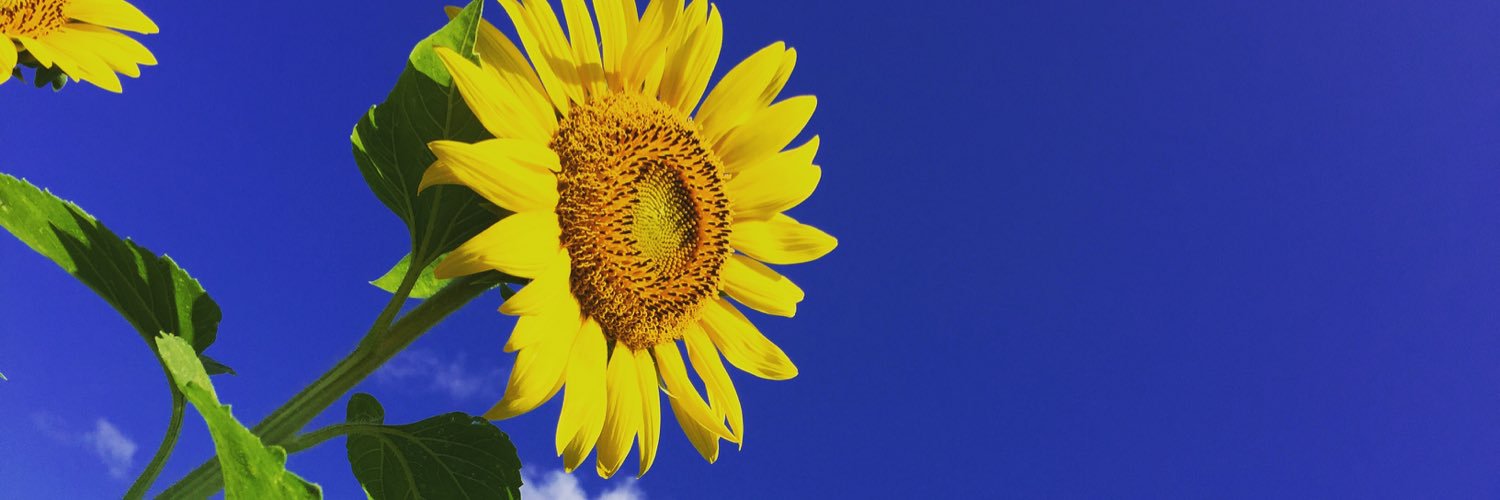 tanachu11_7's profile banner image