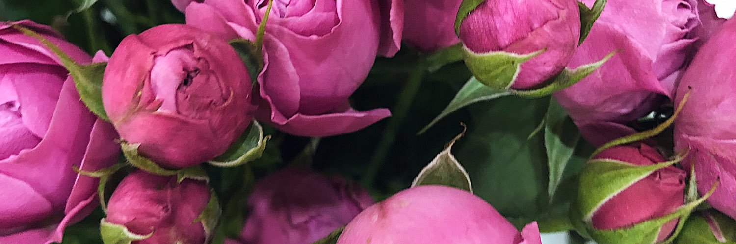 BibiboopAp's profile banner image