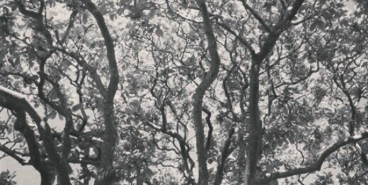 sgordononline's profile banner image