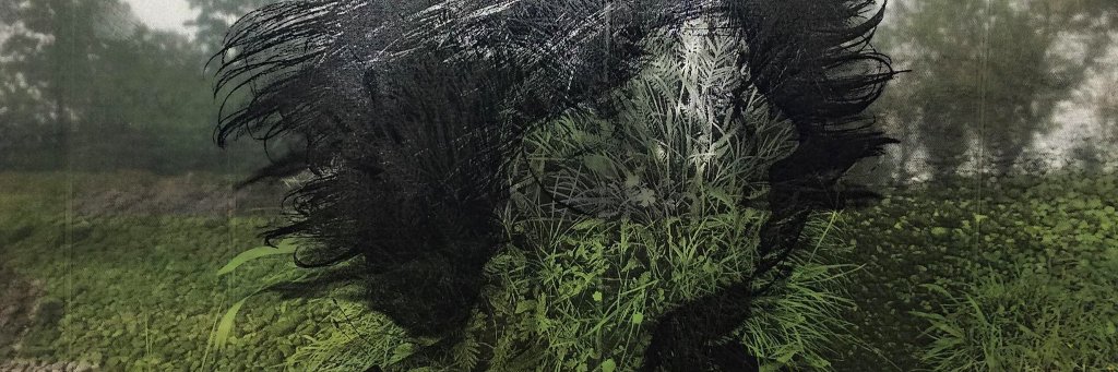 KimPattiruhu's profile banner image