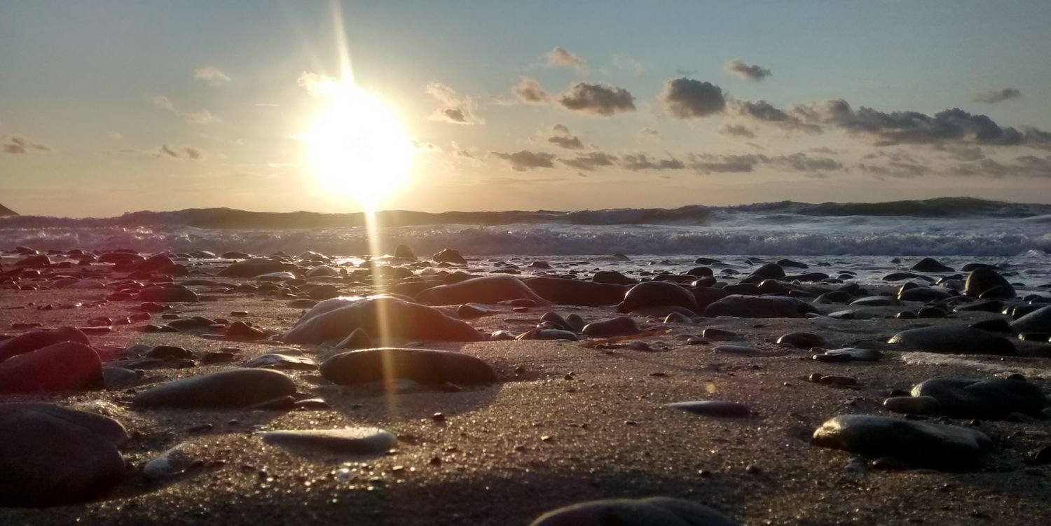 Matthew Taylor banner