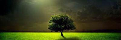 radiah_h's profile banner image