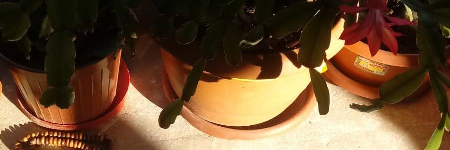 nerimanagaoglu's profile banner image