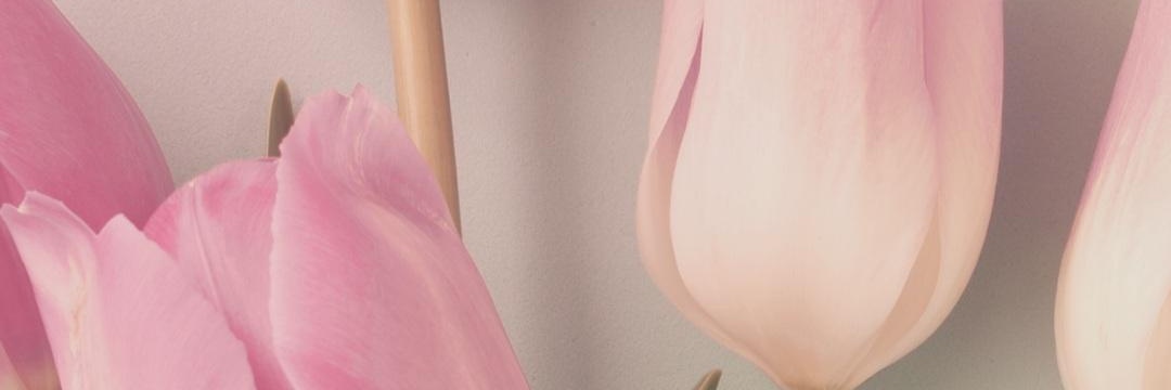 kmjoars's profile banner image