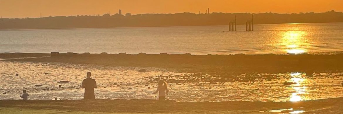 TomCastle3's profile banner image