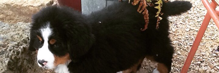 squaremunkey's profile banner image