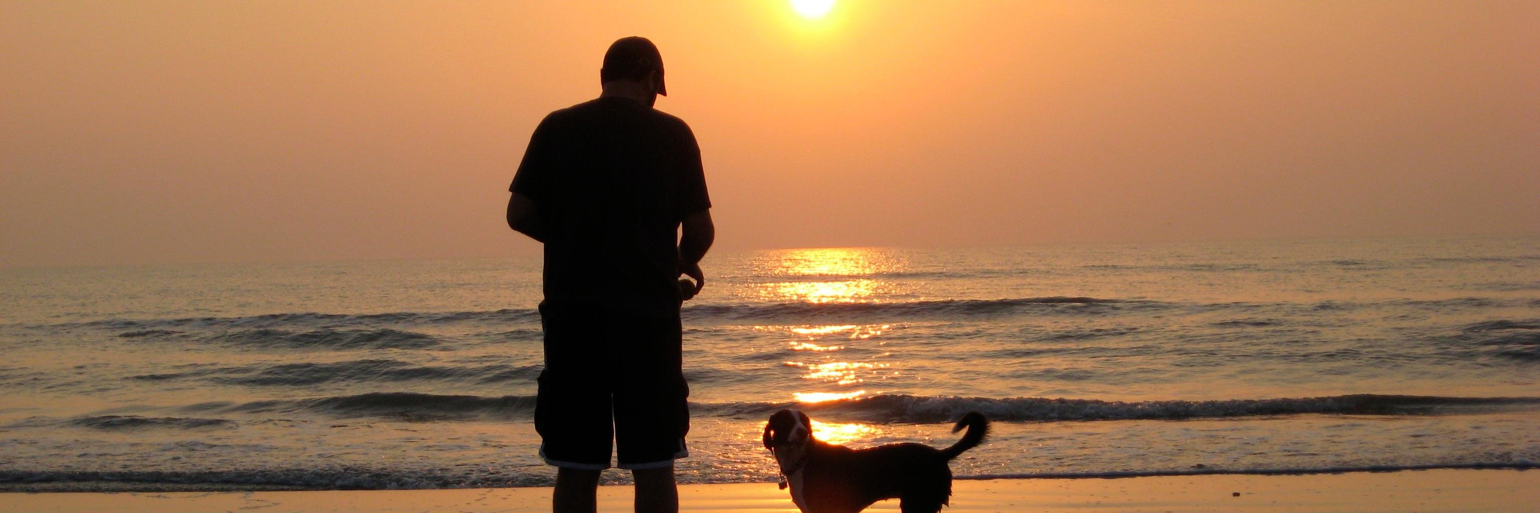 Gozerian77's profile banner image