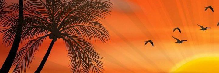 Samipotential1's profile banner image