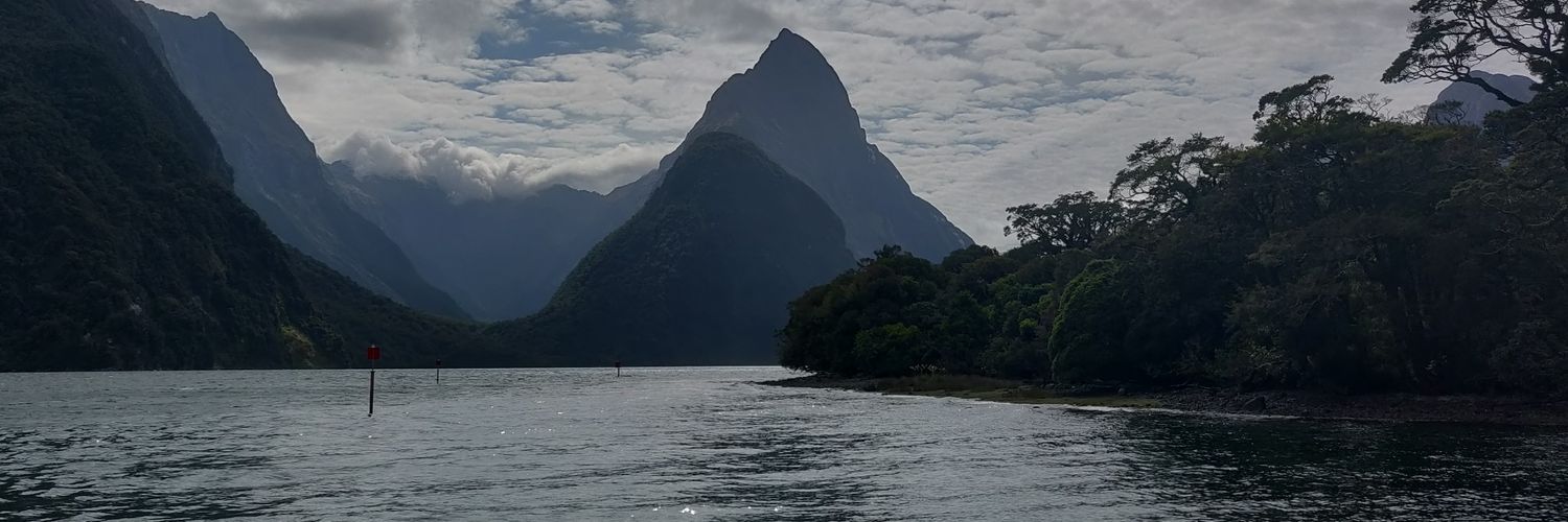 Paddylad79's profile banner image