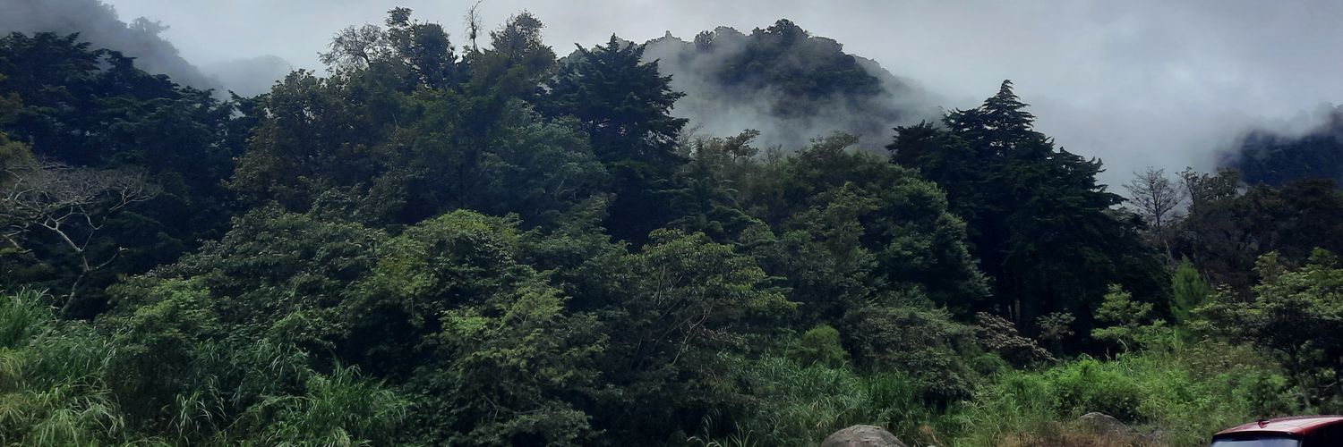 Javier Valles banner