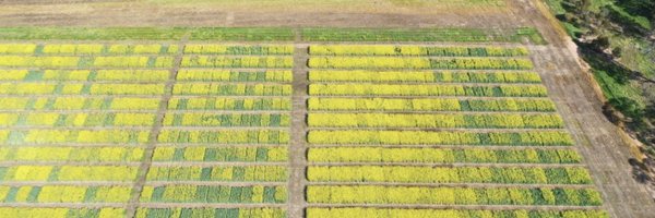 clegg1604 Profile Banner