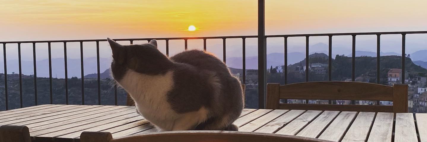 ✨Alessandra banner