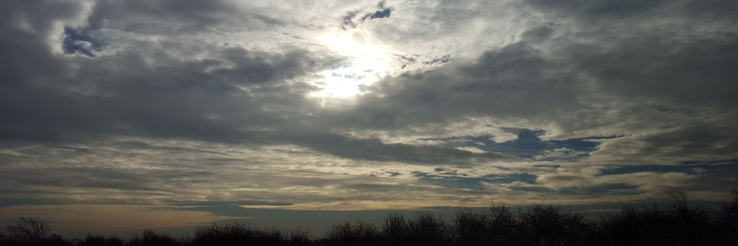 DanyaBee's profile banner image