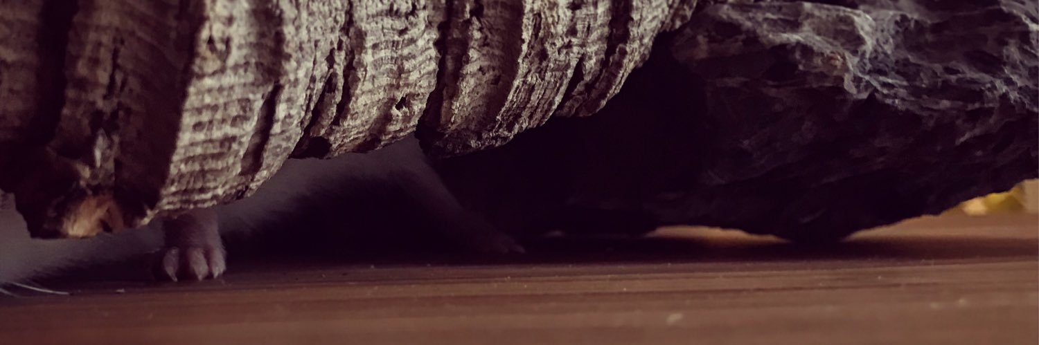 rawstones's profile banner image