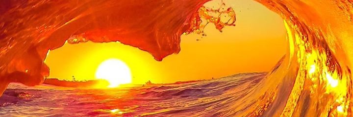 Dave Goush banner