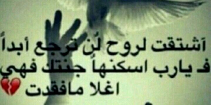 obaidah055's profile banner image