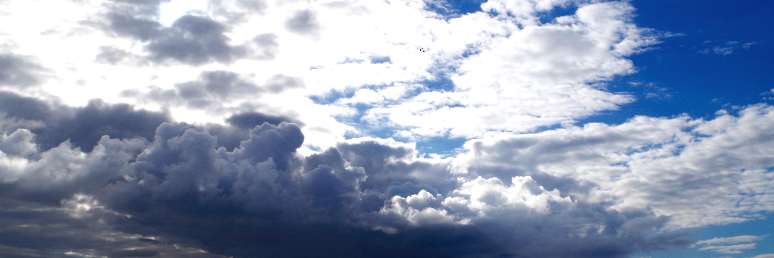 Clement Perrouault banner