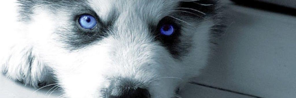 efrajsc's profile banner image