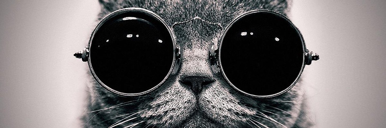 TheBanktramp's profile banner image