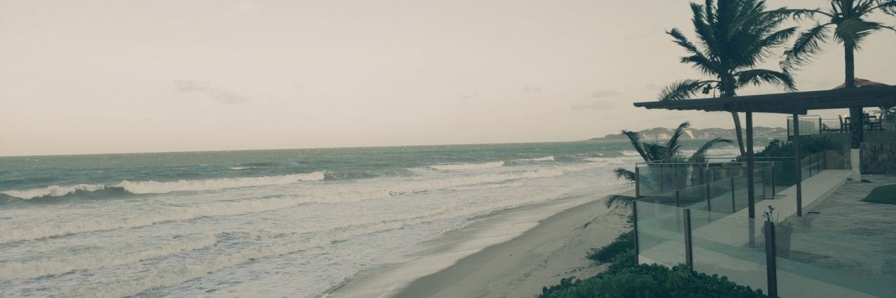 lizvarela banner