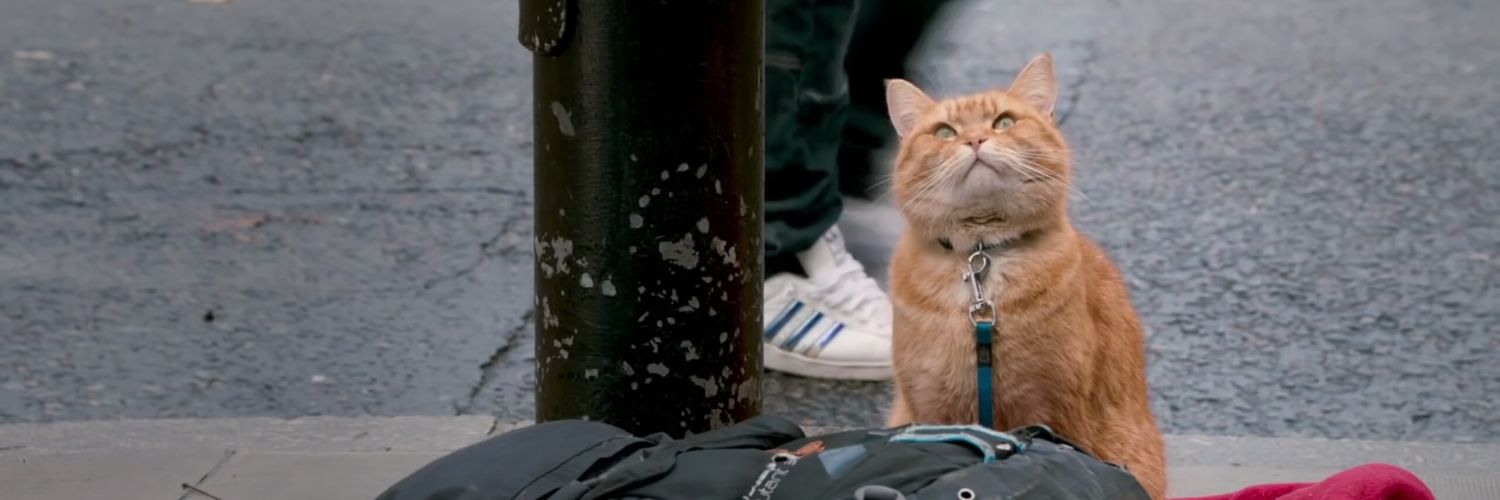 Thachy12's profile banner image