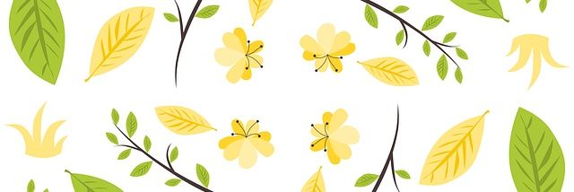 HOSI_USAGI's profile banner image