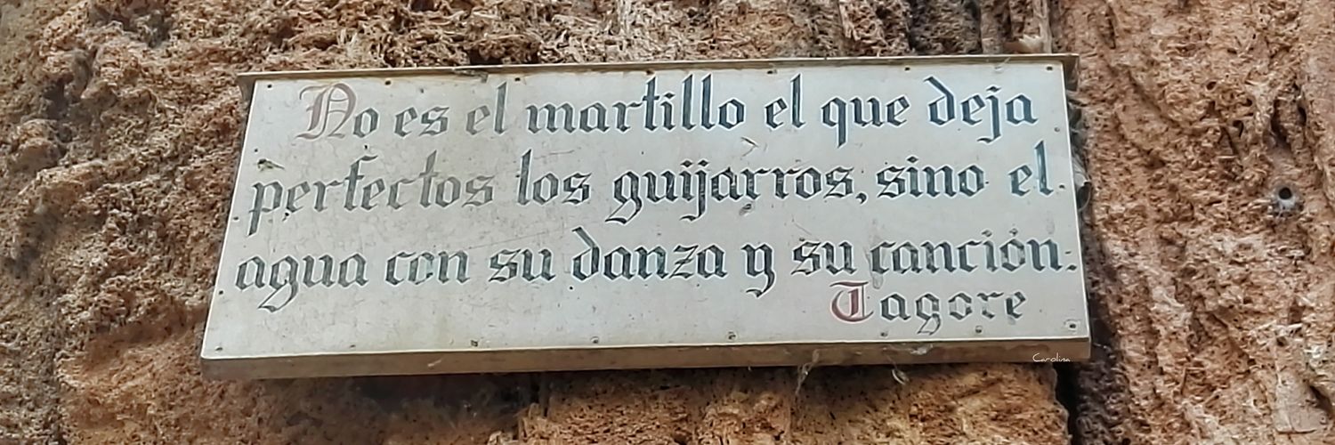 MartinDelAlamo's profile banner image