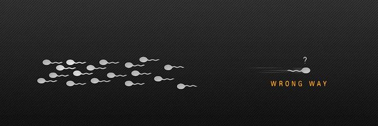 PlayBoi banner