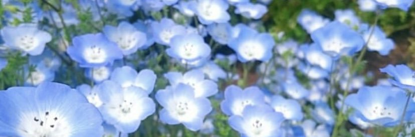 lllooovvveee0's profile banner image
