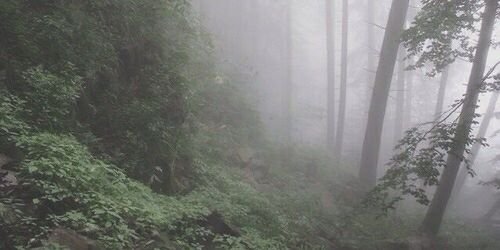 OhTeenReiate's profile banner image