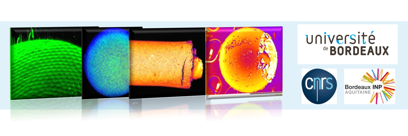 NSysA_Research's profile banner image