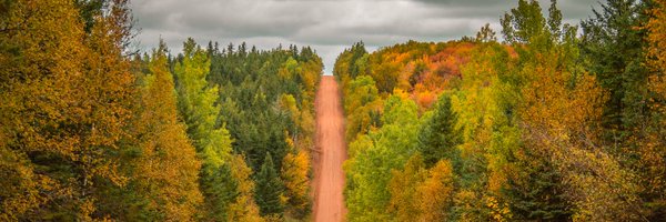 Health_PEI Profile Banner