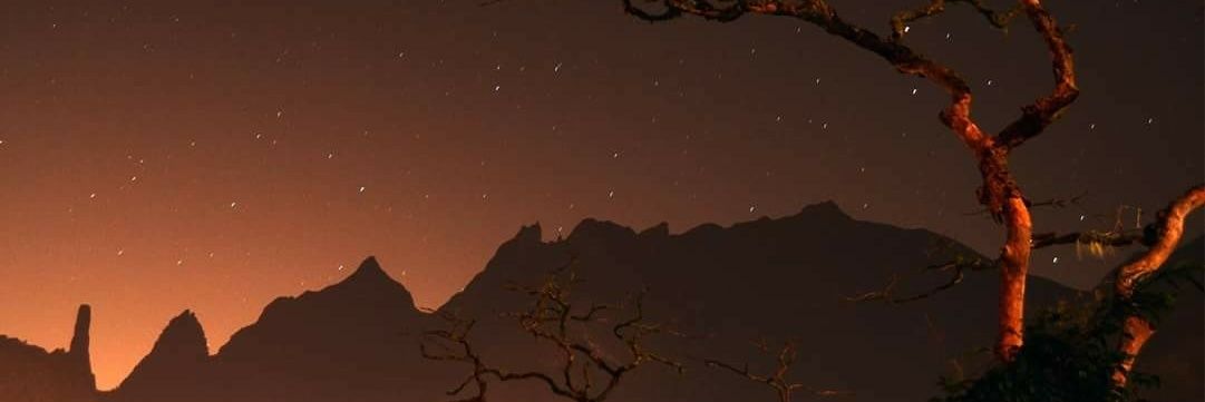 Felipe Pfister banner