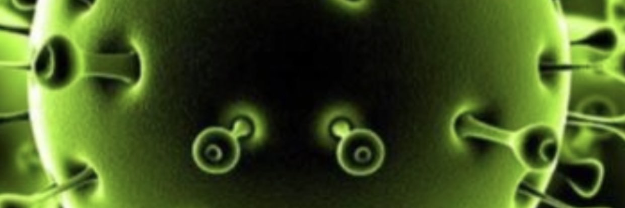 shady_ooo's profile banner image