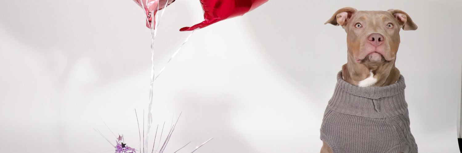 therealmikeilax's profile banner image