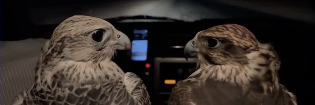 عبدالرحمن عواد البرقا banner