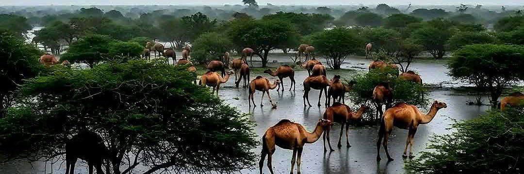 mustafa moh⭐️⚡️ banner