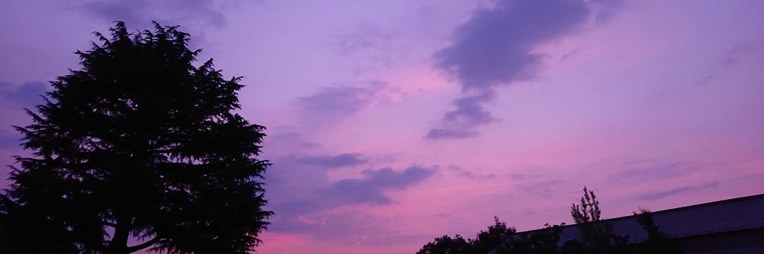 harukami_san's profile banner image