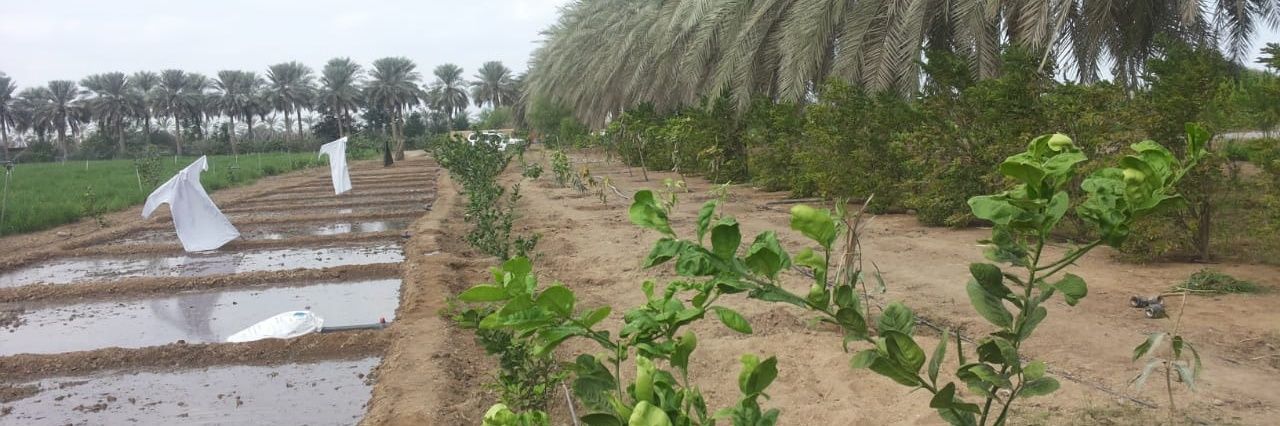 المزارع الصغير banner
