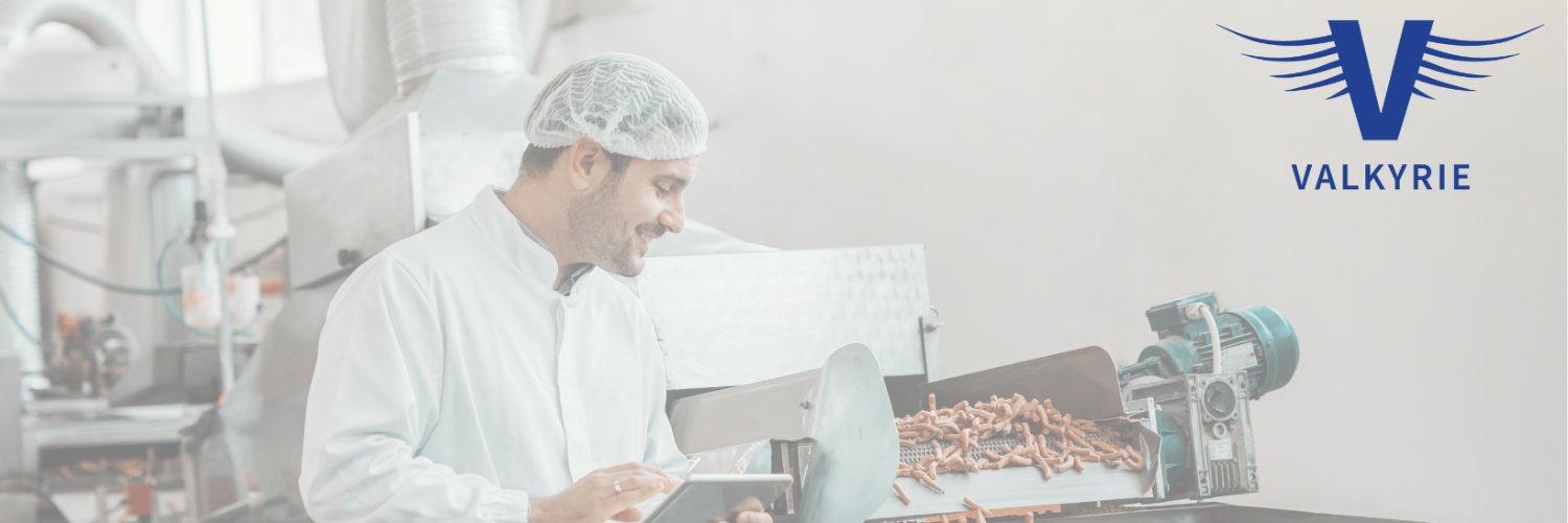 Valkyrie Support Services banner