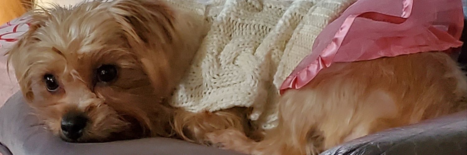 Steffnie's profile banner image