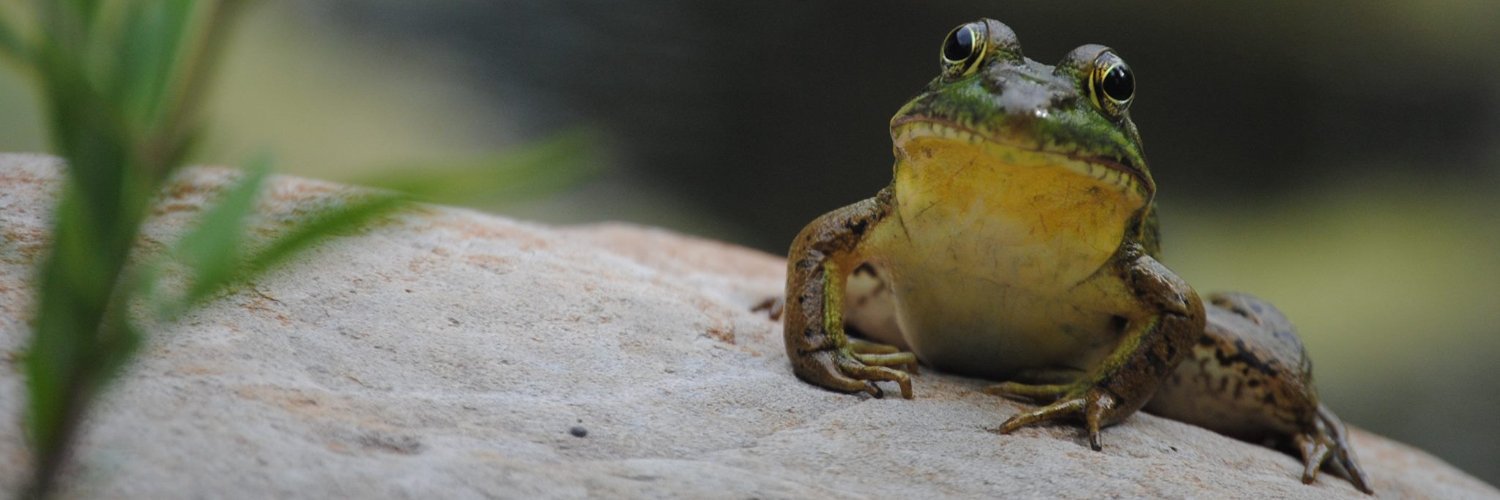 Reinstein Woods banner