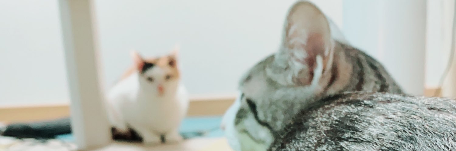 saaa_lmon's profile banner image