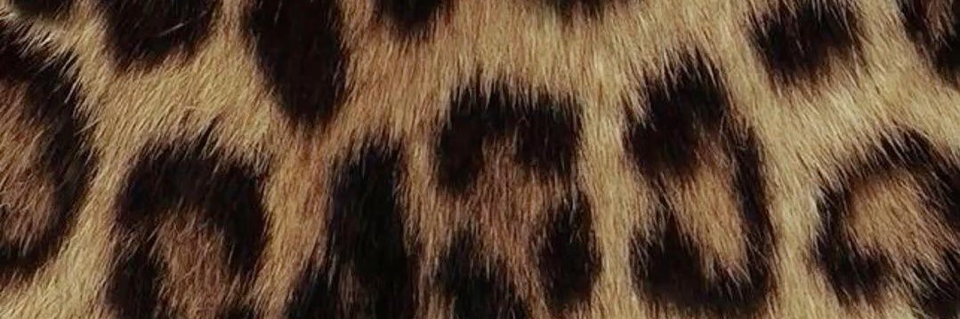 venus2you's profile banner image