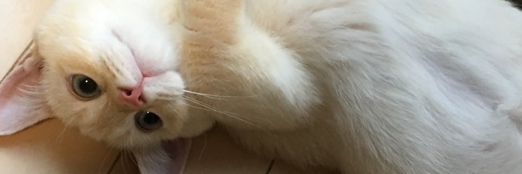 uuukn's profile banner image