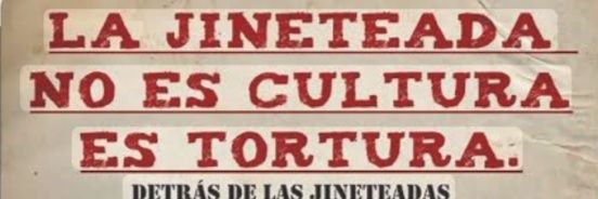 Estela Palacios banner