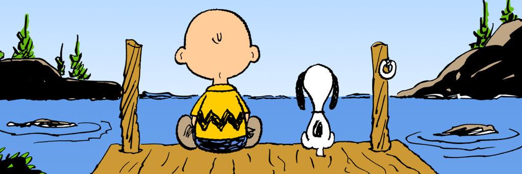 foxpeanuts's profile banner image