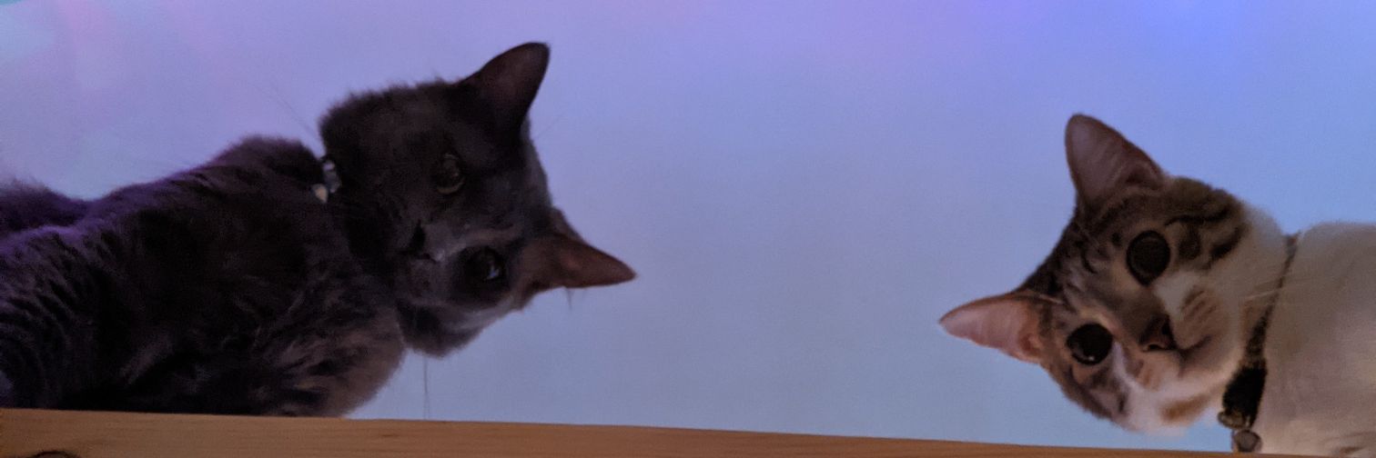 aelin_sol's profile banner image